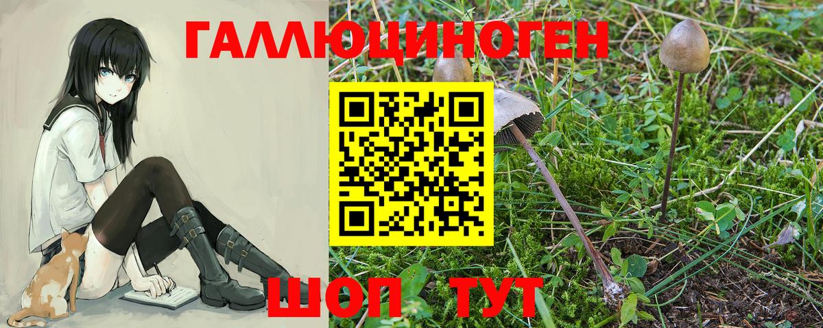 Псилоцибиновые грибы прущие грибы  Вход с VPN  Унеча 